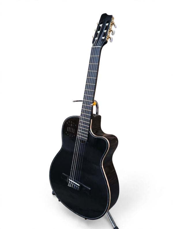 Guitarra Negra