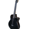 Guitarra Negra