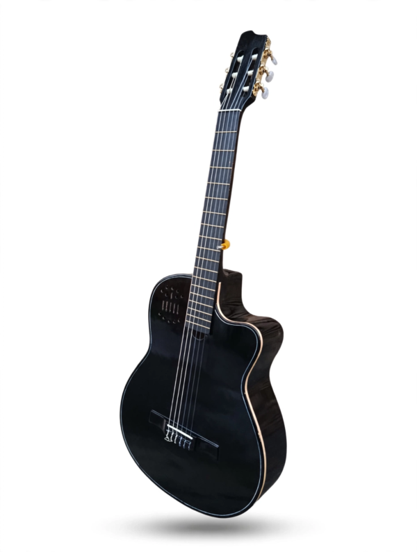 Guitarra Negra